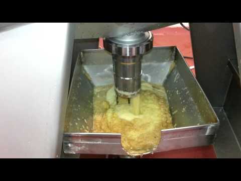 Apple Puree - Washer Elevator Mill & De-stoning Machine