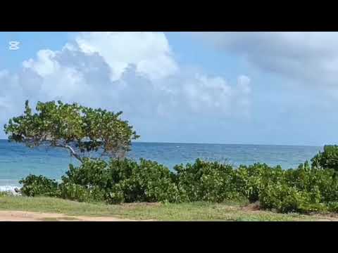 TERRENOS CON CERCANÍA A LA PLAYA PARA LA VENTA, NVA ESPARTA, VENEZUELA 
