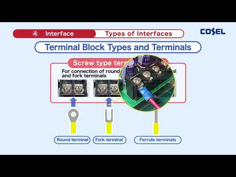Basic Points for Selection