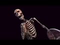 1 Hour Of Silence Occasionally Broken By Skeleton Banging On Shield