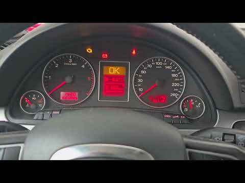 Audi A4 B7 1.9 TDI BRB COLD START -8°