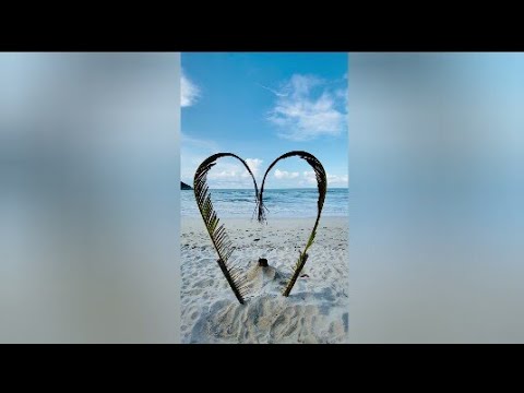 Nature short video 2021