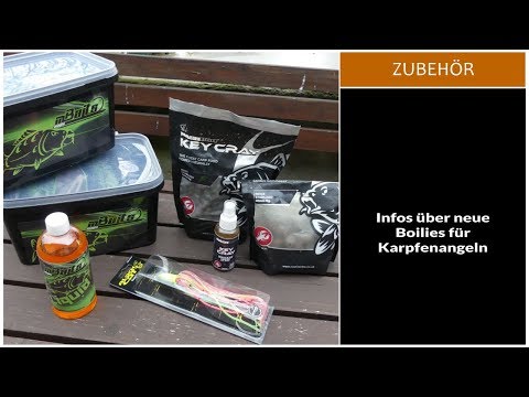 Infos neue Boilies für Karpfenangeln - Fishing Point