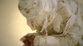 Goldfrapp - Ride A White Horse (Official Video)