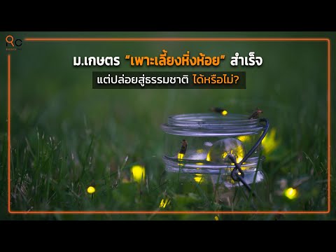 ��ԡ���ʹ٤�Ի�Դ���