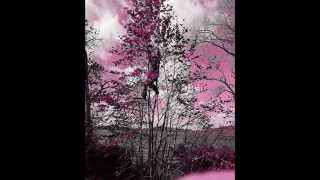 i get lonesome (beck)