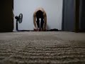 100 Push ups+220 Ab Wheel 腕立て100回+アブローラー220回