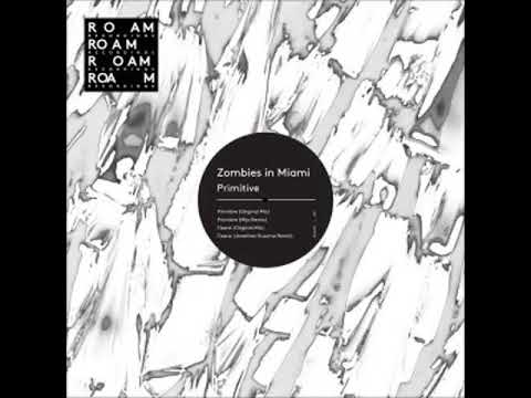 PREMIERE | Zombies In Miami - Tizane (Original Mix) [Roam Recordings] 2017