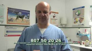 Mi perro tiene anemia.