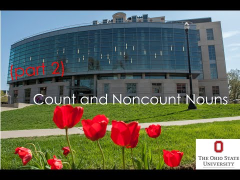 Count and Noncount Nouns (Part 1)