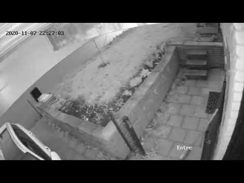 Ljussken 7/11 (bolid?)