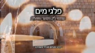 הרב מנחם מנדל פומרנץ | מסר חסידי - לג בעומר תשפ"א • פלגי מים •