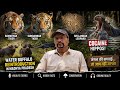 Sundarban vs Sumatran Tiger असली Killer कौन? Sri Lankan Leopard  बिना Tiger के जंगल का राजा! Podcast DEFAULT Thumbnail