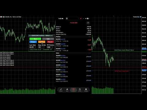 Video GridZone Alpha