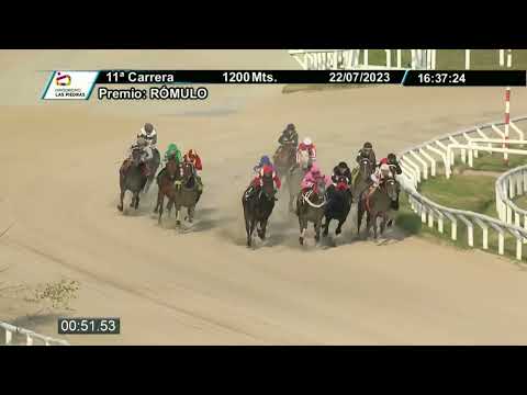 230722 c11 - BRUJO ONLINE - HIPODROMO LAS PIEDRAS