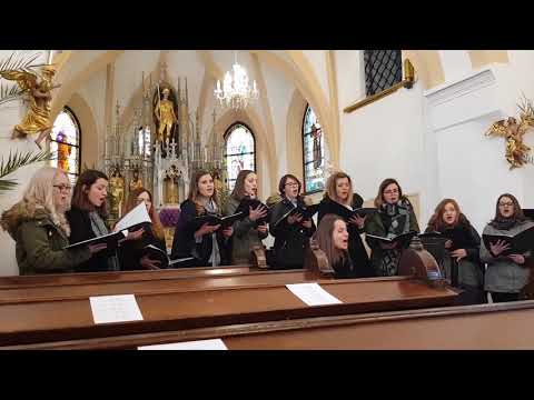 Vokalna skupina Vox Angelica - Deni me