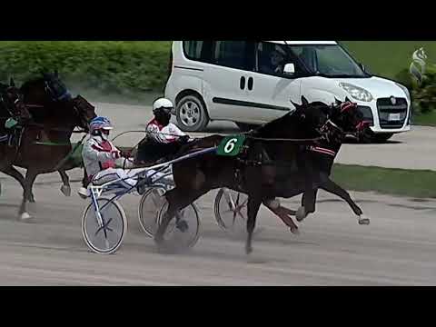 Aversa trotto 1 Aprile 2023 - 1° Corsa