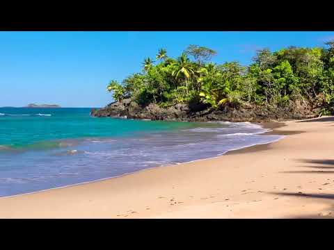 Olas del Paraíso - Playa Hermosa con Sonidos Relajantes del Mar sin Música