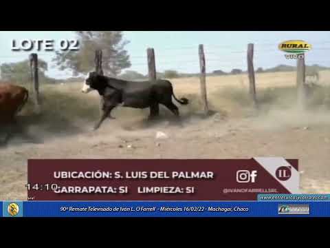 16-02-22 - 90º Remate Televisado de Iván L. O Farrell - Machagai, Chaco
