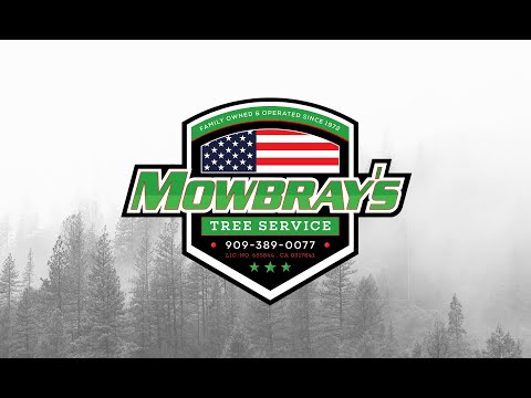 Mowbray's Sennebogen Video