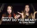What Do You Mean Justin Bieber Merrell Twins