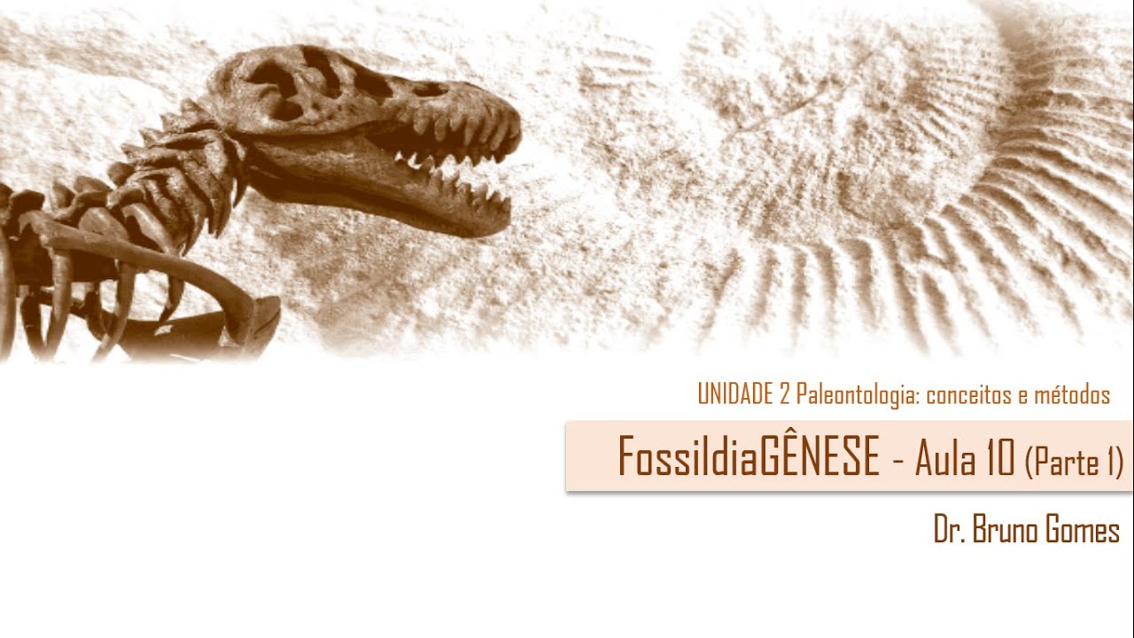 AULA 10 (Parte 1) Fossildiagênese