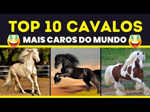 10 cavalos mais caros do mundo