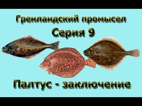 Русская Рыбалка 3.99 Гренландский промысел 9 - Палтус - Заключение