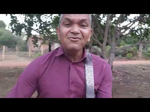 Coração Flerteiro - Pacífico e Banda