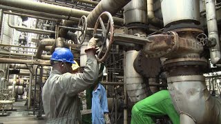 EU turns to Nigeria as alternative to Russian oil and gas • FRANCE 24 English