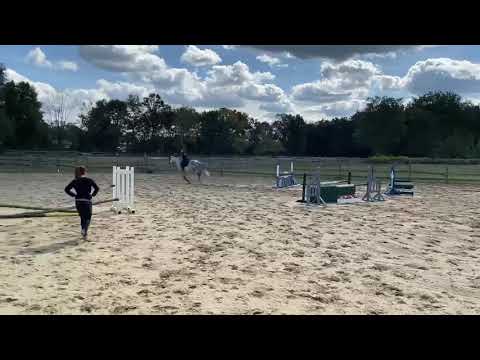 “Killer Queen” ridden by Rachael Grice