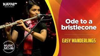 Ode to a bristlecone - Easy Wanderlings - Music Mojo Season 6 - Kappa TV