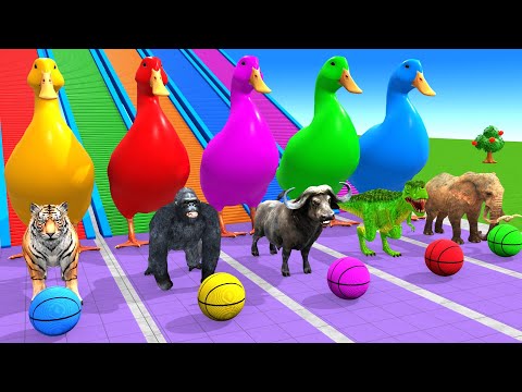 Long Slide Game With Cow Elephant Gorilla Hippopotamus Tiger 3d Animal Game Funny 3d Animals