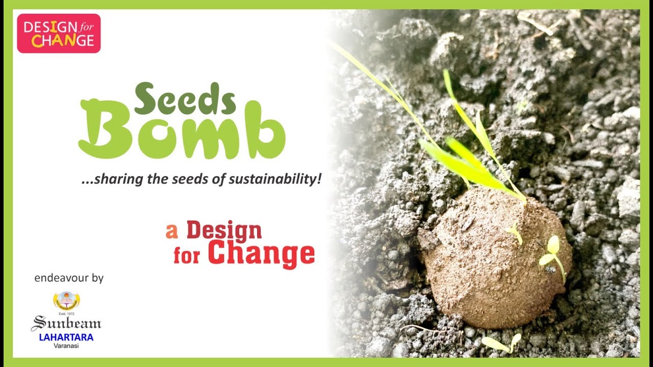 Seed Bomb thumbnail