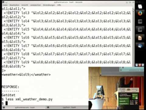 Schwachstellen und Sicherheitslücken