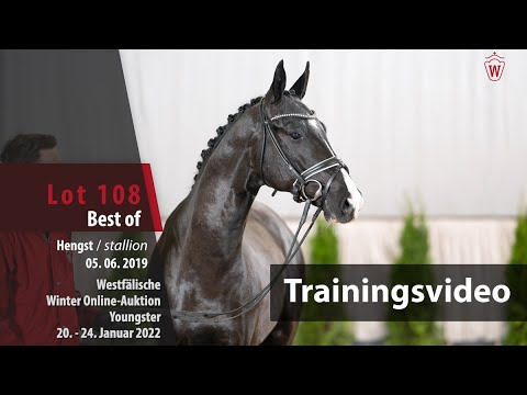 Online Winter-Auktion Training Lot 108 Best of Hengst v.  Bonds - Sandro Hit