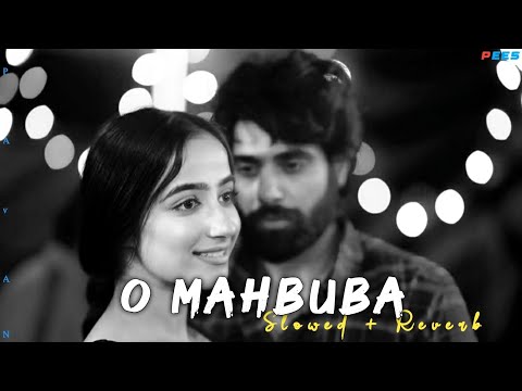 O Mahbuba – Romantic Hindi Song 2026 | Heart Touching Love Song | PEE5 Official