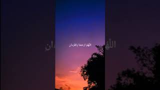 Download lagu Allahummarhamna Bil Quran | Story WA | Video 30 Detik | #shorts mp3 Download lagu Allahummarhamna Bil Quran | Story WA | Video 30 Detik | #shorts mp3