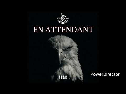 MISTER LOLO - EN ATTENDANT