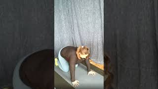 Yoga Flow: Cat Cow, Child's Pose, Spinal Undulation