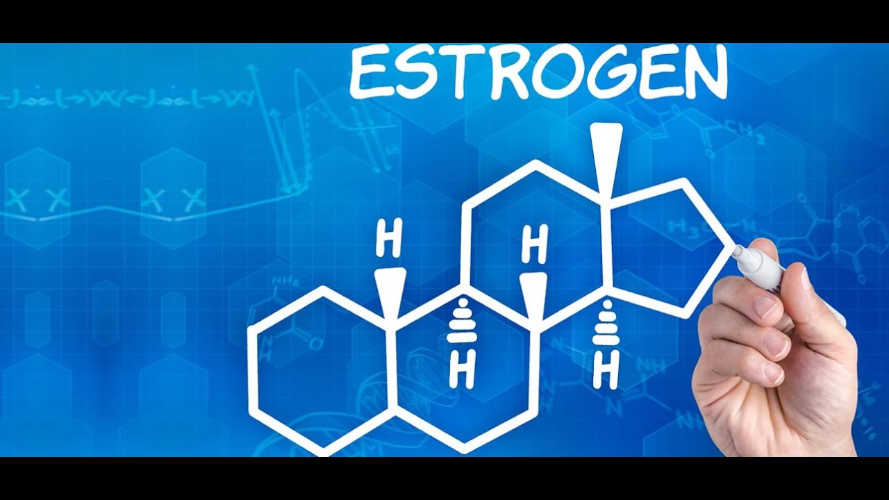 Estrogen Dominace- Why Its Destroying Your Health As A Woman