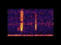 The Bloop: A Mysterious Sound from the Deep Ocean ...