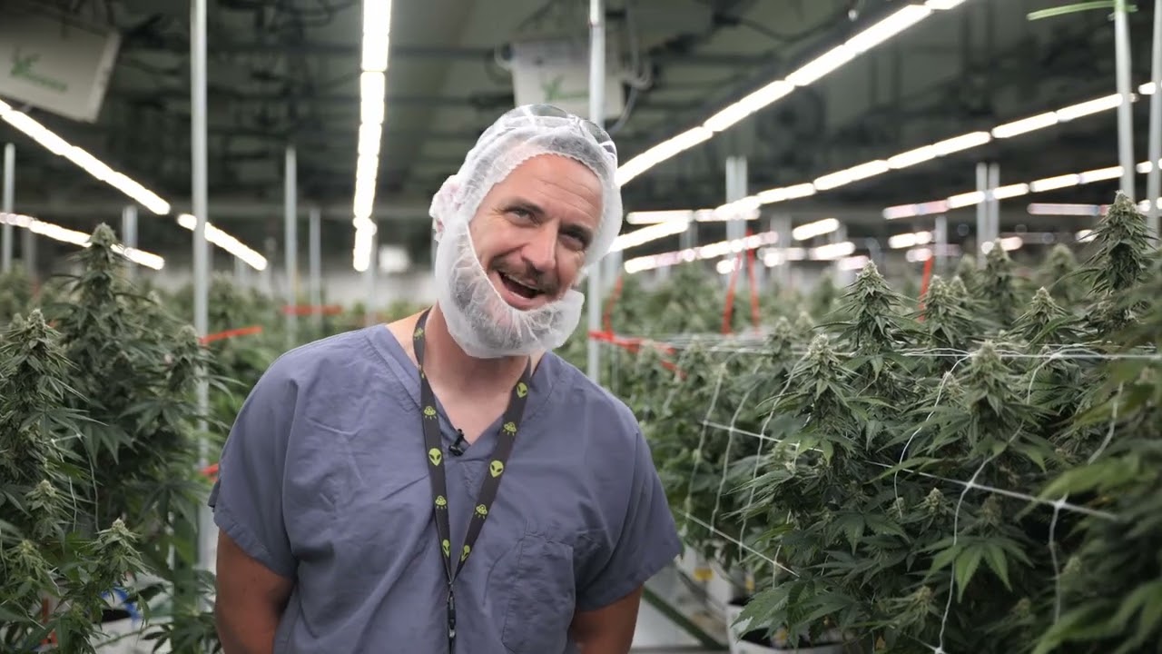 Fluence Innovator | Ascend Wellness Focuses on Consistency Without Compromise