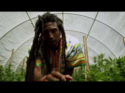 Madgesdiq - Weed, Politics and Chicks (OFFICIAL MUSIC VIDEO)