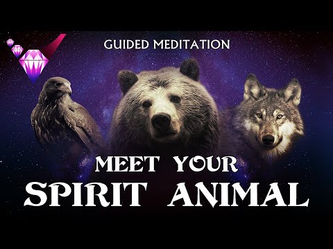 Meet Your Spirit Animal Guide - Guided Meditation w/ Binaural Beats