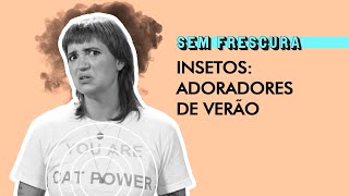 Barata tem cheiro Por que insetos adoram aparecer no verão | Sem Frescura