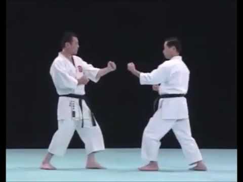 Seipai Bunkai Kata
