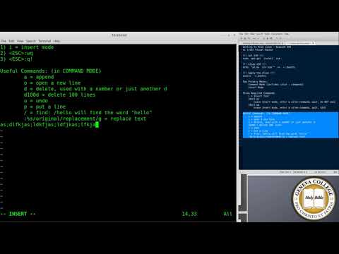 Tutorial: How to Use vi/vim on Linux and UNIX Intermediate Usage
