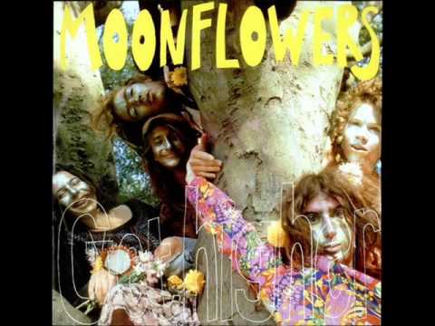 The Moonflowers - Get Higher 12