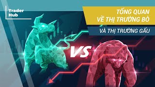 TỔNG QUAN VỀ THỊ TRƯỜNG BÒ VÀ THỊ TRƯỜNG GẤU - TRADERHUB